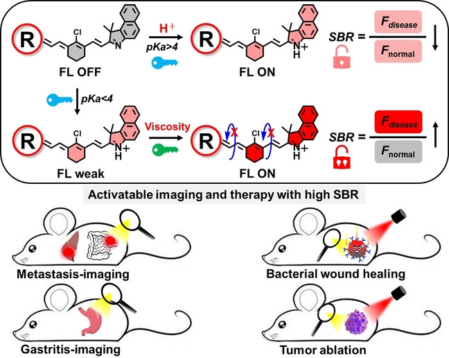 “Dual-Key-and-Lock” NIR-II NSCyanines Enable High-Contrast Activatable Phototheranostics in Extrahepatic Diseases