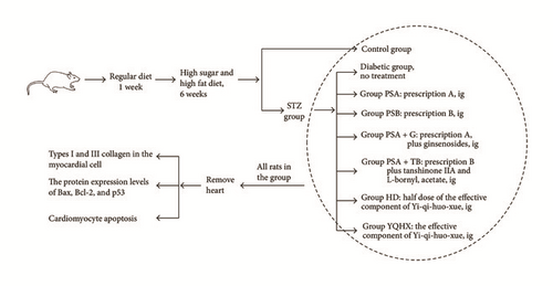 Details are in the caption following the image Details are in the caption following the image