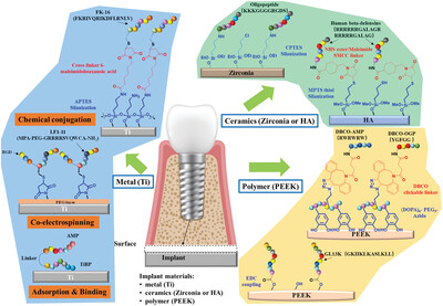 The overview of antimicrobial peptide-coated implants against oral bacterial infections Issue 3, 2023
