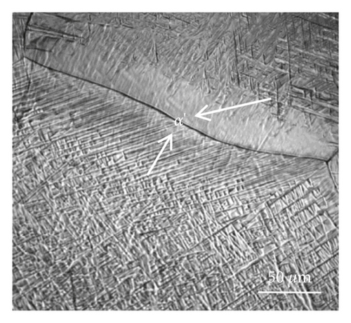 Details are in the caption following the image