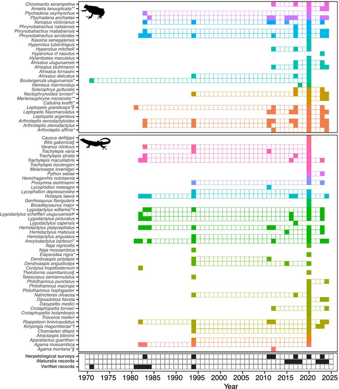 Kimboza, a Small Lowland Forest With an Outstanding Herpetofauna Diversity in East Africa