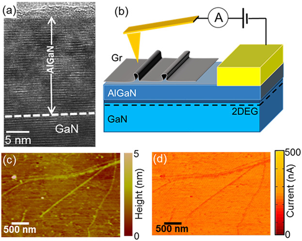 Fabrication and Characterization of Graphene Heterostructures with Nitride Semiconductors for High Frequency Vertical Transistors