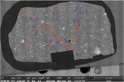 Details are in the caption following the image Details are in the caption following the image
