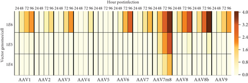 Details are in the caption following the image Details are in the caption following the image