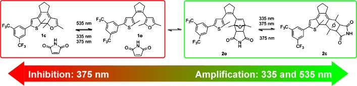 Controlling Covalent Connection and Disconnection with Light