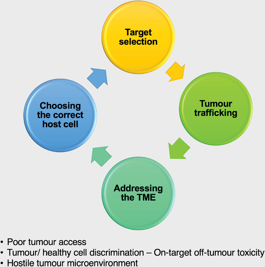 Solid tumours: Building bridges to CAR-T success