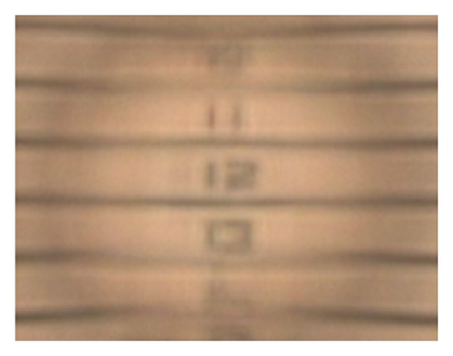 Details are in the caption following the image