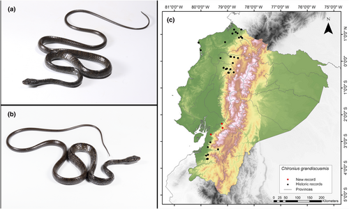 Details are in the caption following the image