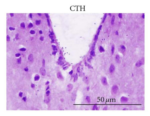 Details are in the caption following the image