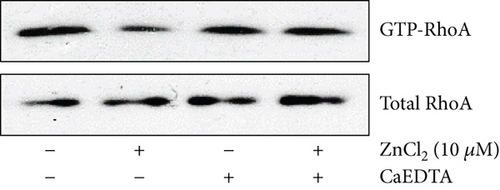 Details are in the caption following the image
