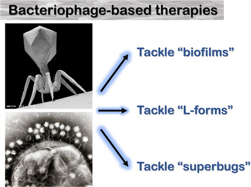 Details are in the caption following the image