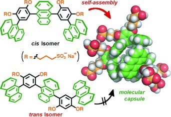 Atroposelective Self-Assembly of a Molecular Capsule from Amphiphilic Anthracene Trimers