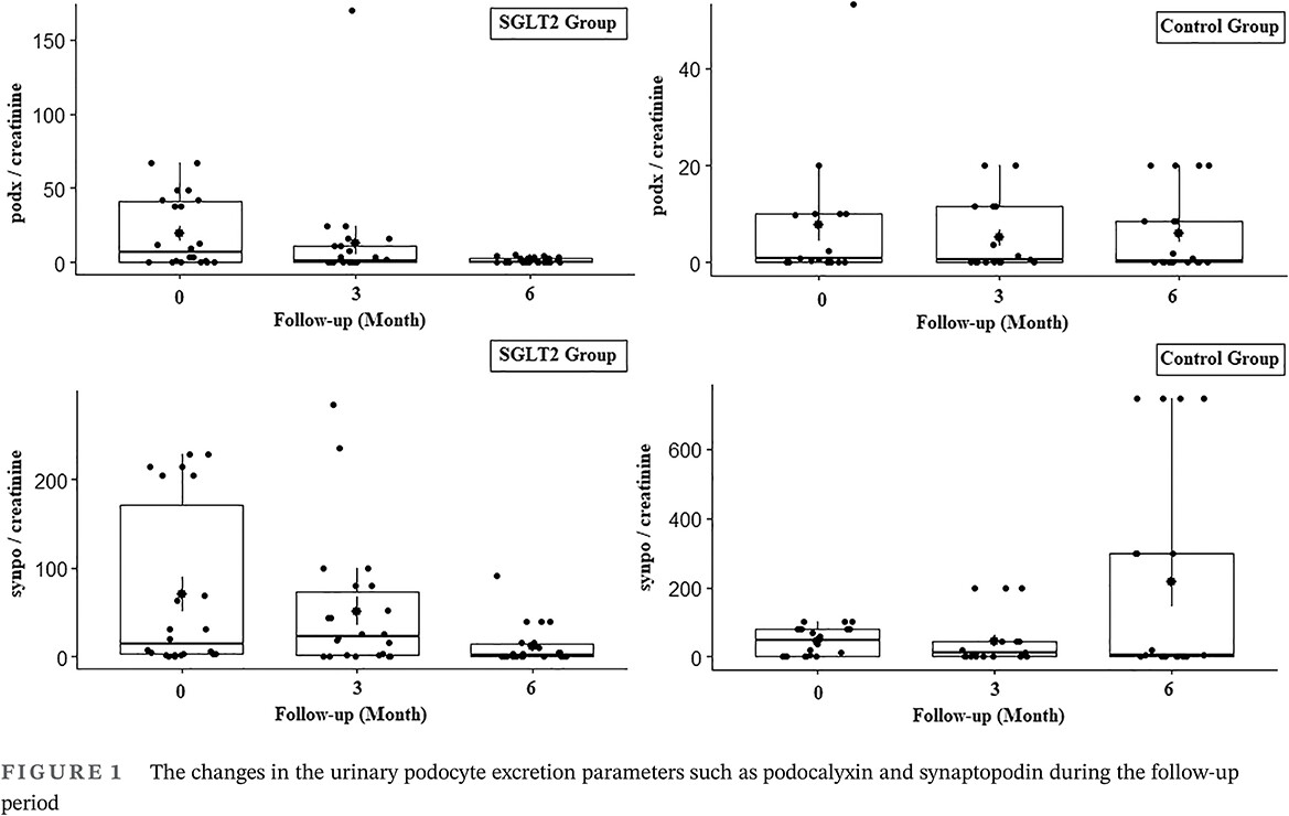 Effects of SGLT2 inhibitors on patients with diabetic kidney disease: A preliminary study on the basis of podocyturia SGLT2抑制剂对糖尿病肾病患者的影响:基于尿足细胞的初步研究