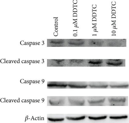 Details are in the caption following the image