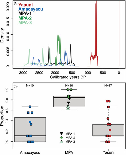 Long-term fire and vegetation change in northwestern Amazonia