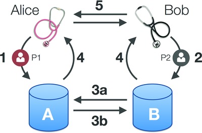 The Matchmaker Exchange API: Automating Patient Matching Through the Exchange of Structured Phenotypic and Genotypic Profiles