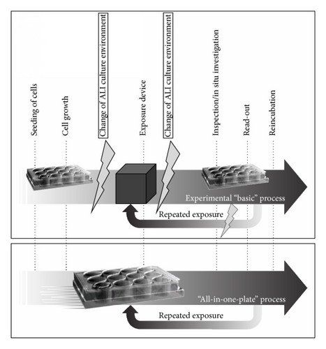 Details are in the caption following the image