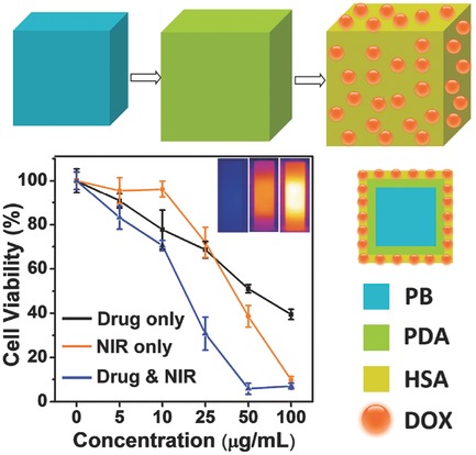 Human-Serum-Albumin-Coated Prussian Blue Nanoparticles as pH-/Thermotriggered Drug-Delivery Vehicles for Cancer Thermochemotherapy