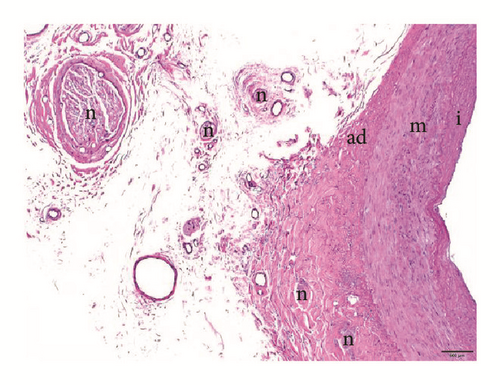 Details are in the caption following the image Details are in the caption following the image