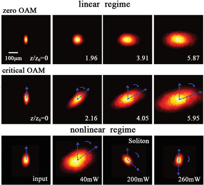 Influence of Transverse Cross-Phases on Propagations of Optical Beams in Linear and Nonlinear Regimes