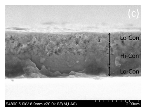 Details are in the caption following the image Details are in the caption following the image
