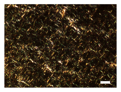 Details are in the caption following the image