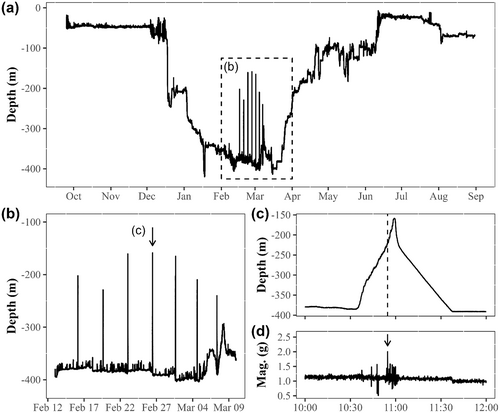 Details are in the caption following the image Details are in the caption following the image
