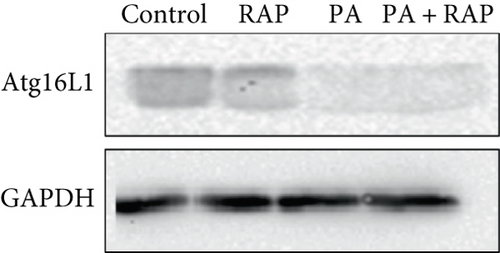 Details are in the caption following the image