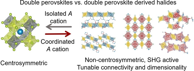Hybrid Double Perovskite Derived Halides Based on Bi and Alkali Metals (K, Rb): Diverse Structures, Tunable Optical Properties and Second Harmonic Generation Responses