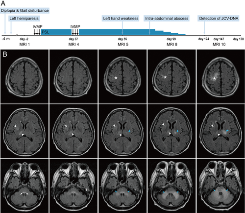 Details are in the caption following the image Details are in the caption following the image
