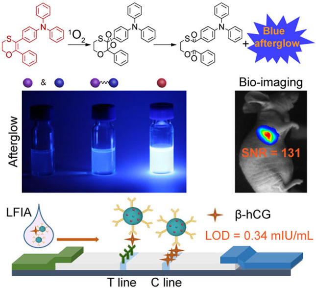 Enhanced Blue Afterglow through Molecular Fusion for Bio-applications