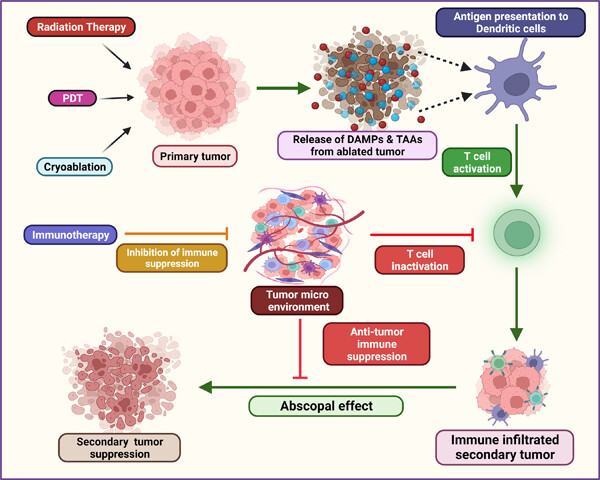 Radiotherapy, photodynamic therapy, and cryoablation-induced abscopal effect: Challenges and future prospects