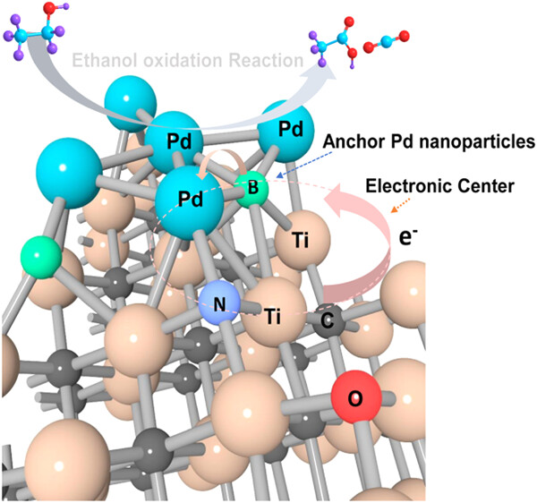 Local coordination and electronic interactions of Pd/MXene via dual-atom codoping with superior durability for efficient electrocatalytic ethanol oxidation