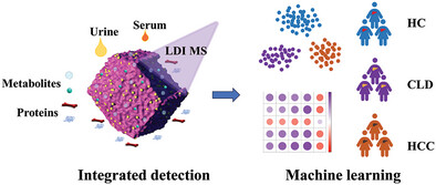Cross-Referencing Multifluid Metabolic Profiles on Hollow Dodecahedral Nanocages for Enhanced Disease Status Identification