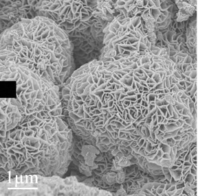 Enhanced Electrochemical Capacitive Properties of Nickel-Cobalt Oxide Nano-flakes Materials