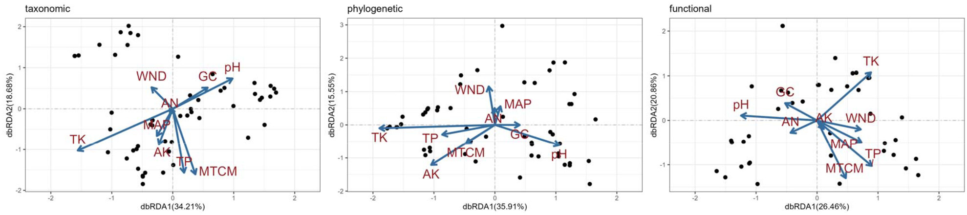 Drivers of desert plant beta diversity on the Qinghai–Tibet plateau