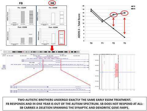 FARP-1 deletion is associated with lack of response to autism treatment by early start denver model in a multiplex family