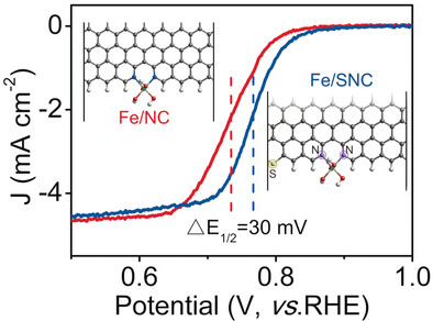 Synergistic Effects between Atomically Dispersed Fe−N−C and C−S−C for the Oxygen Reduction Reaction in Acidic Media