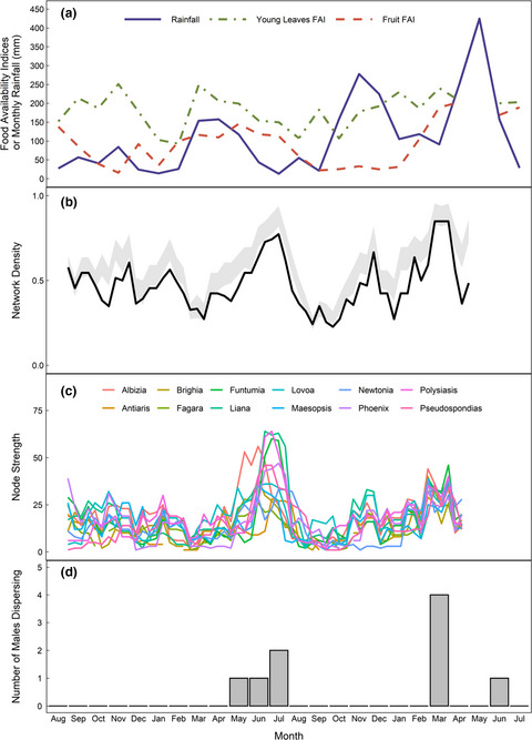 Temporal patterns in the social network of core units in Rwenzori Angolan colobus monkeys: Effects of food availability and interunit dispersal