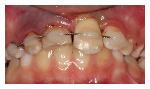 Details are in the caption following the image Details are in the caption following the image