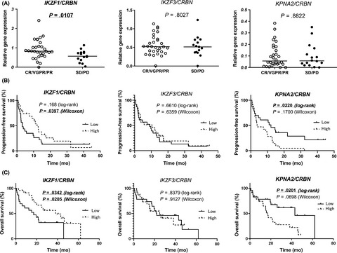 Expression, mutation, and methylation of cereblon-pathway genes at pre- and post-lenalidomide treatment in multiple myeloma