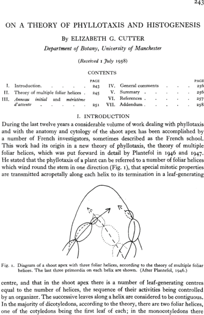 First page image