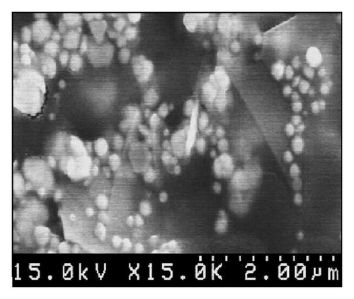 Details are in the caption following the image