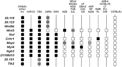 Details are in the caption following the image Details are in the caption following the image