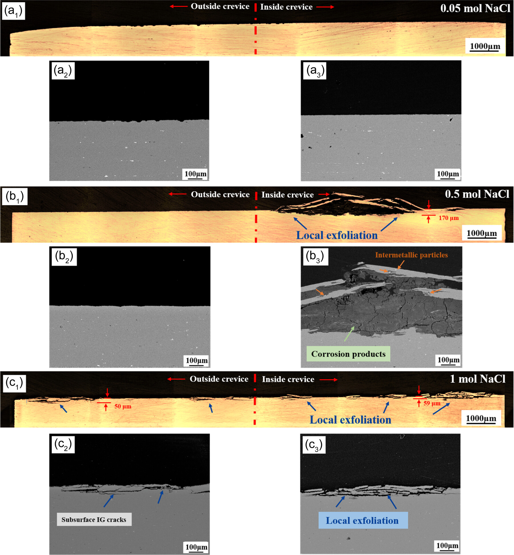 Insight into the crevice corrosion mechanism of AA7075-T651 high-strength aluminum alloys in neutral nitrate solution: The effect of Cl−