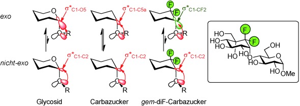gem-Difluorocarbadisaccharides: Restoring the exo-Anomeric Effect