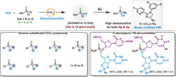 Modular Access to P(V)-Stereogenic Compounds via Cu-Catalyzed Desymmetrization of (Thio)Phosphonic Dichlorides