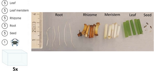 Details are in the caption following the image Details are in the caption following the image