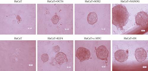 Details are in the caption following the image