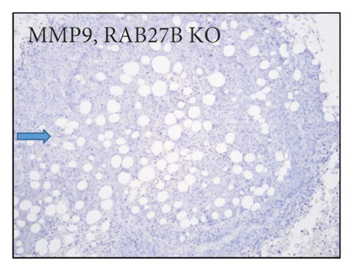 Details are in the caption following the image